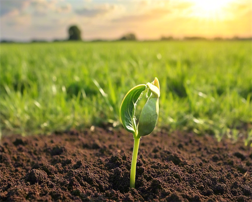 借卵生子